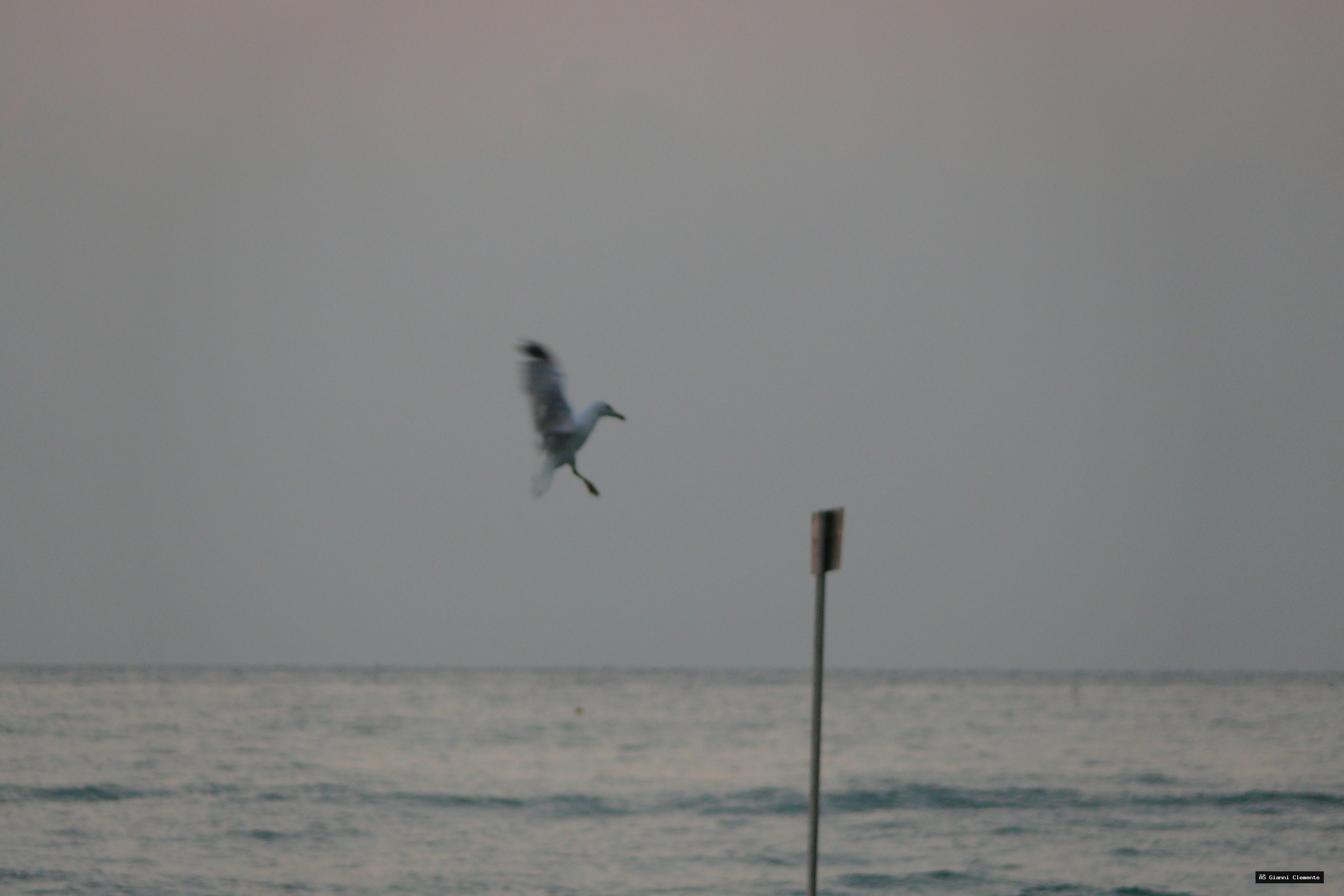 P1080750 20260325 233325 3