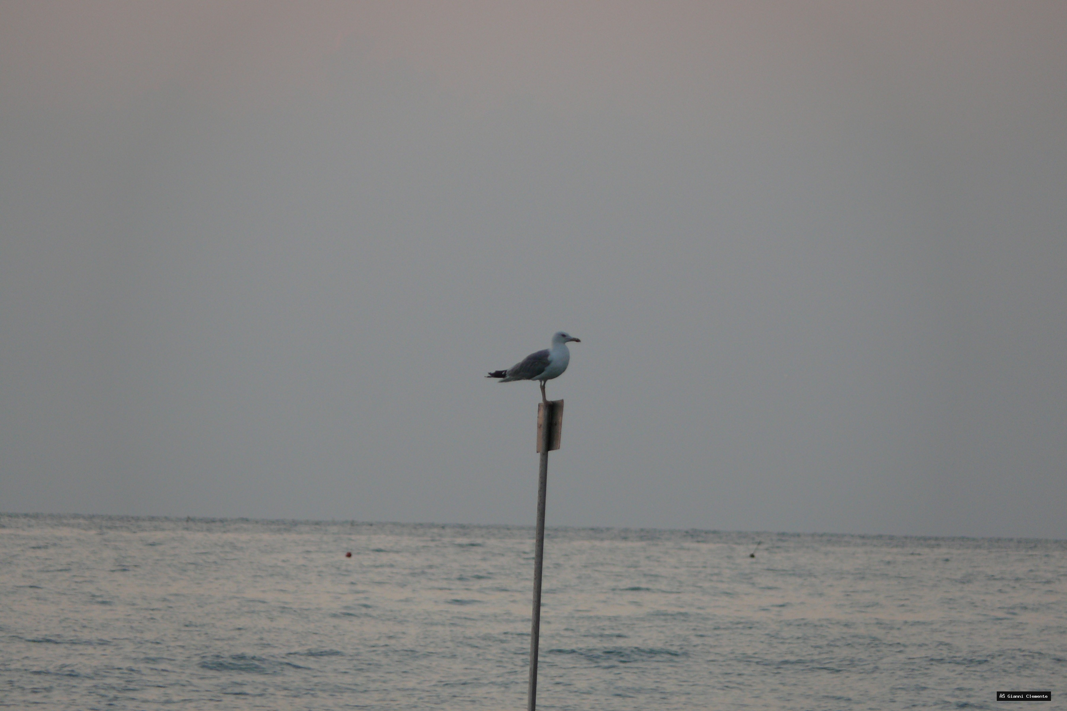 P1080751 20260325 233325 4