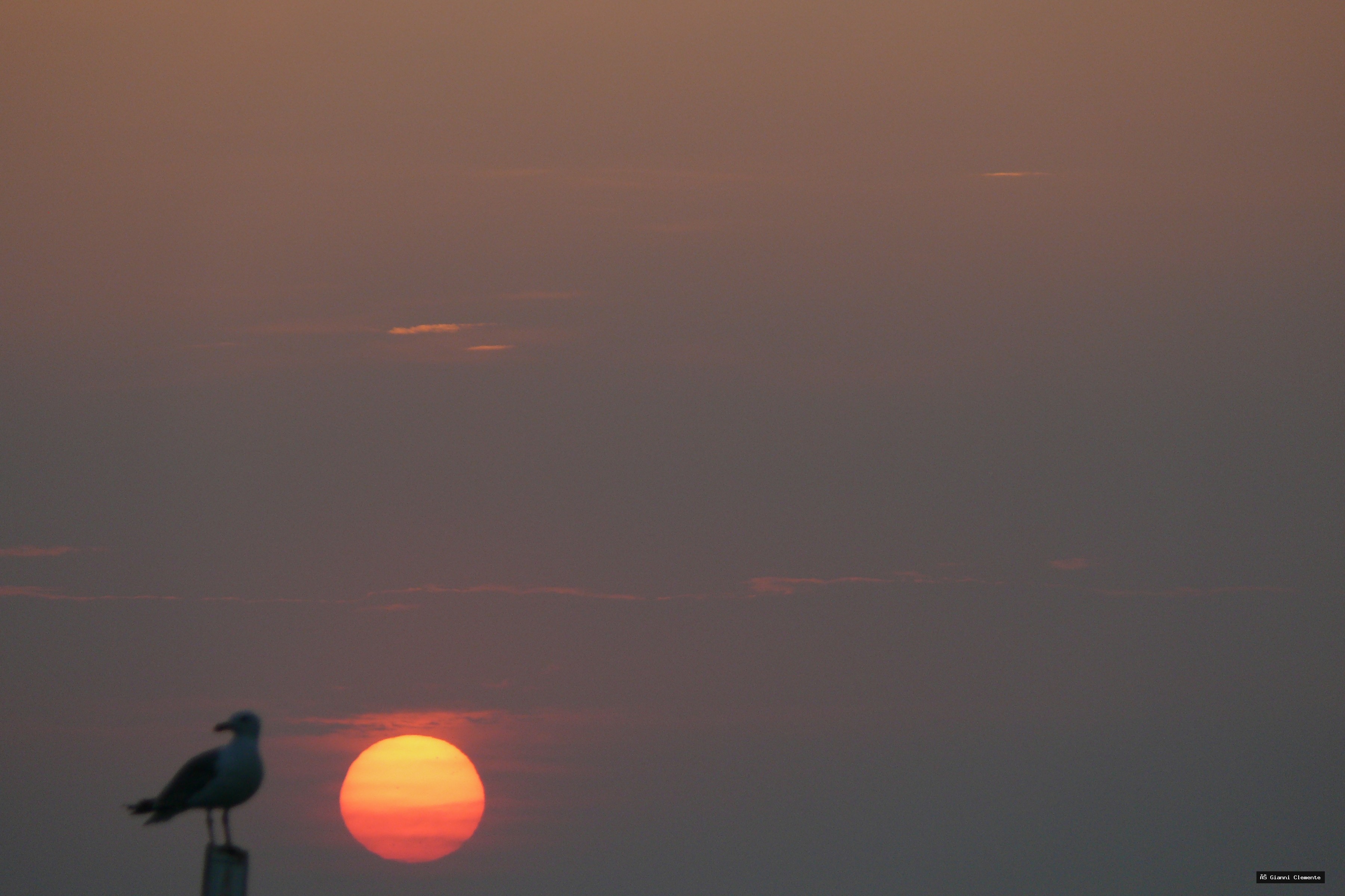 P1080753 20260325 233325 5