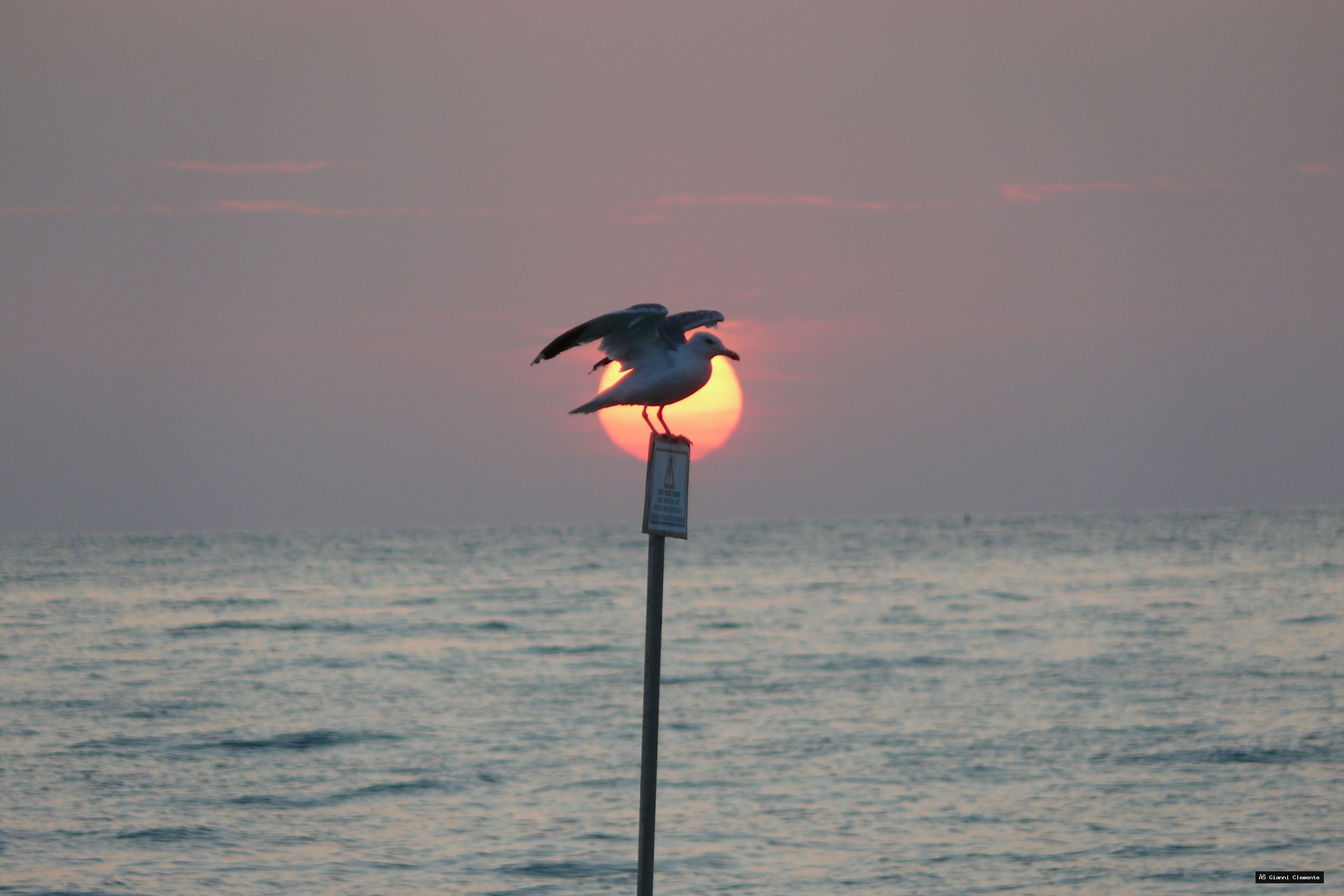 P1080754 20260325 233325 6