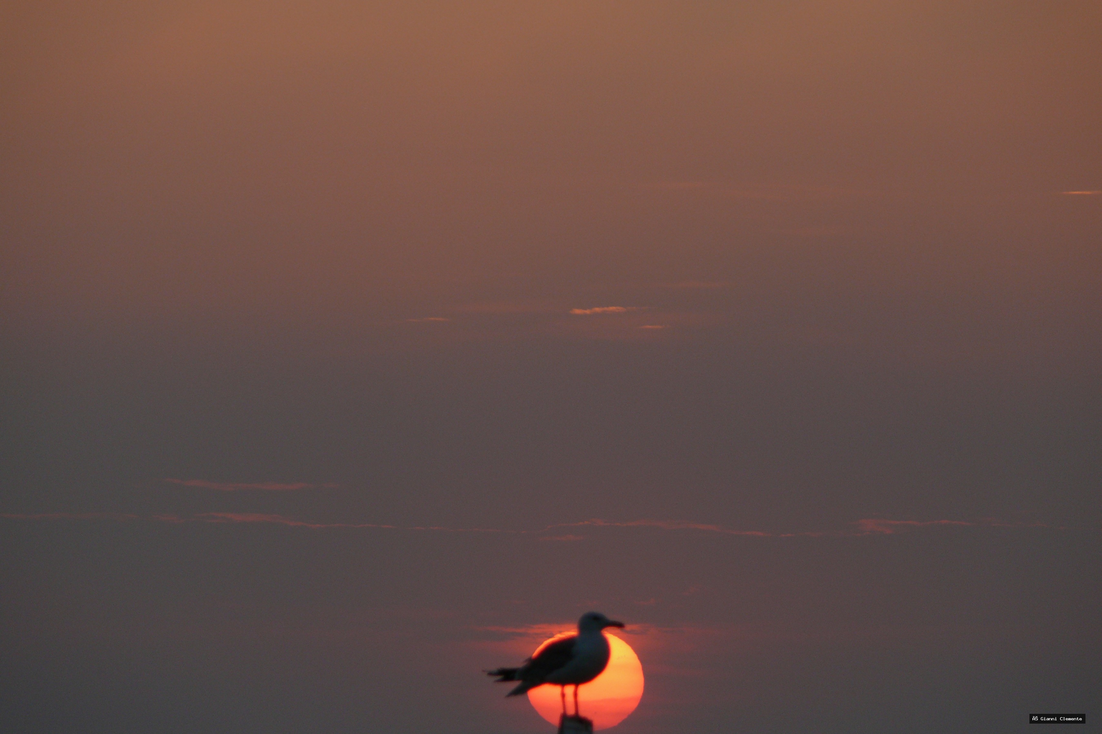 P1080755 20260325 233325 7