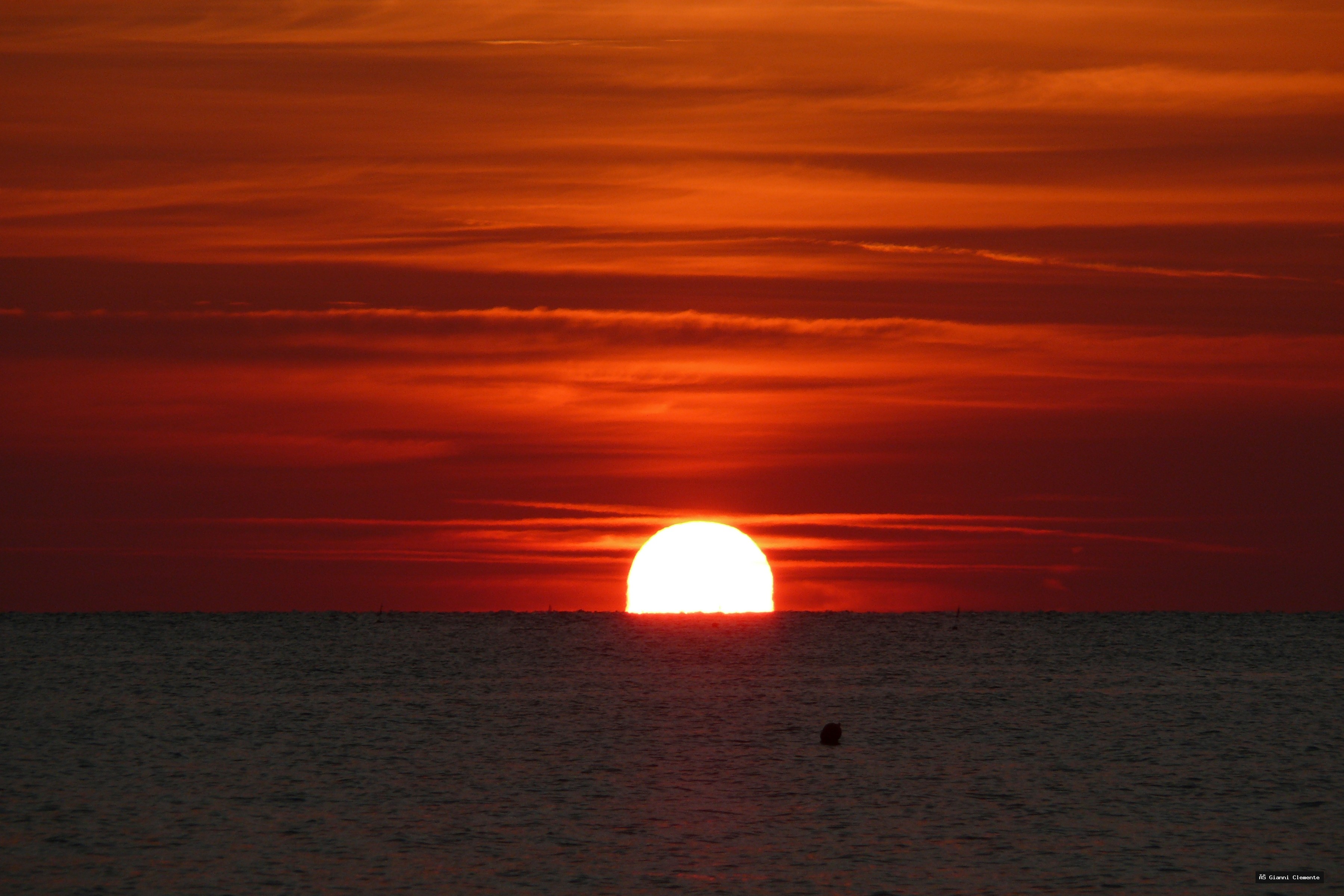 P1080765 20260325 233325 9