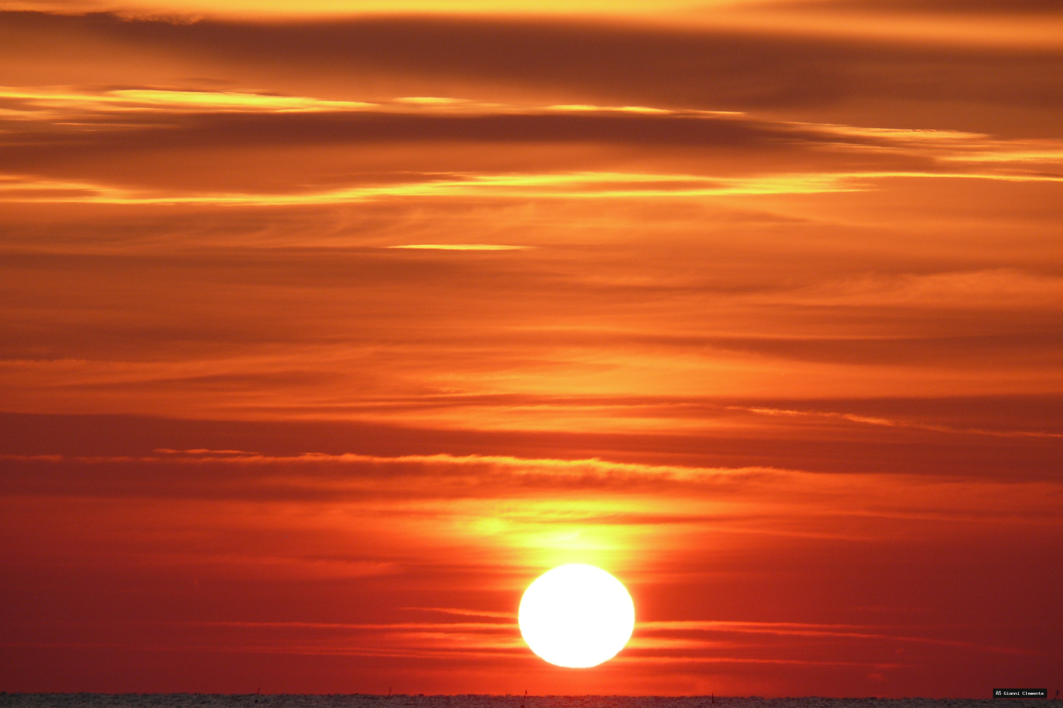 P1080766 20260325 233325 10