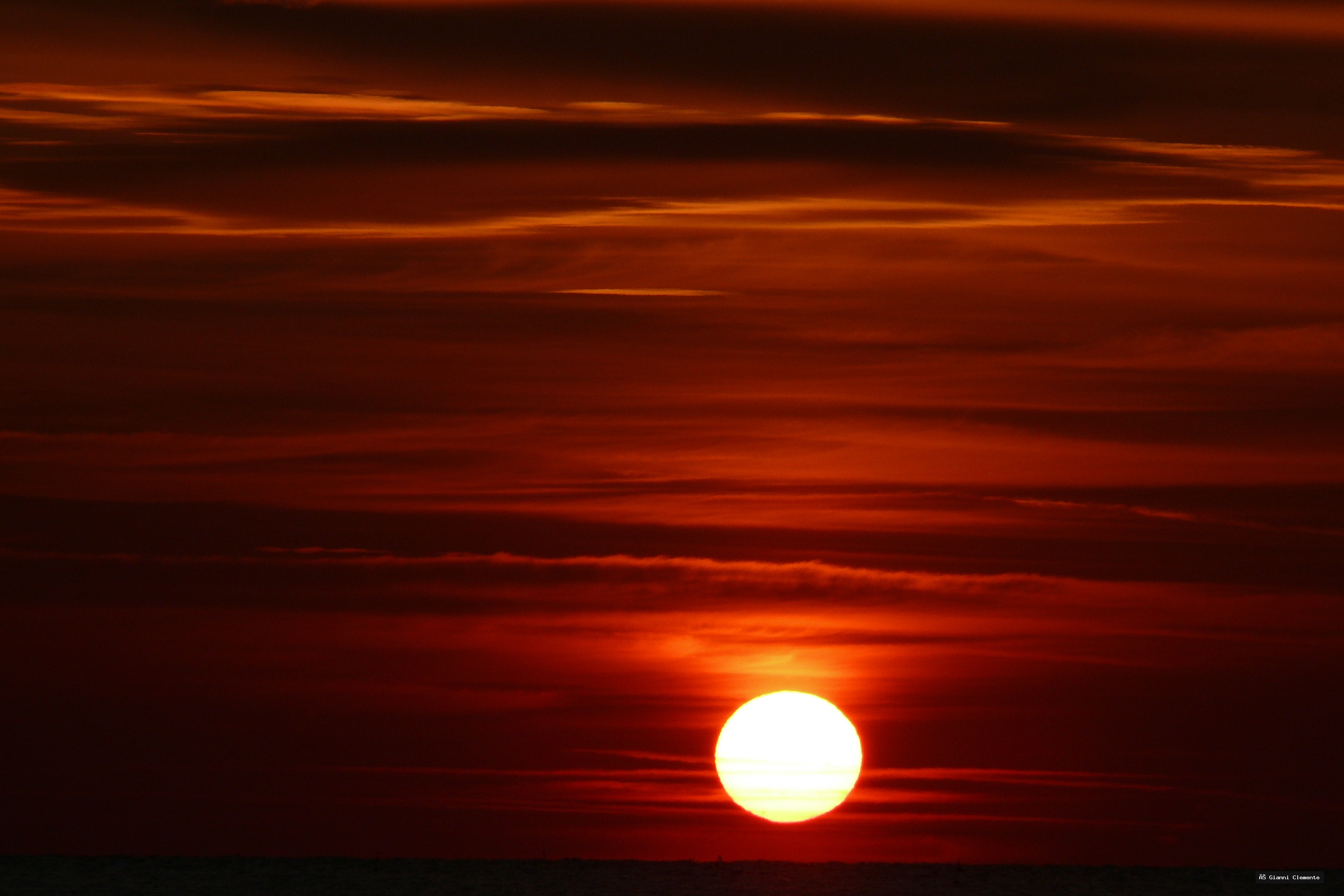 P1080767 20260325 233325 11