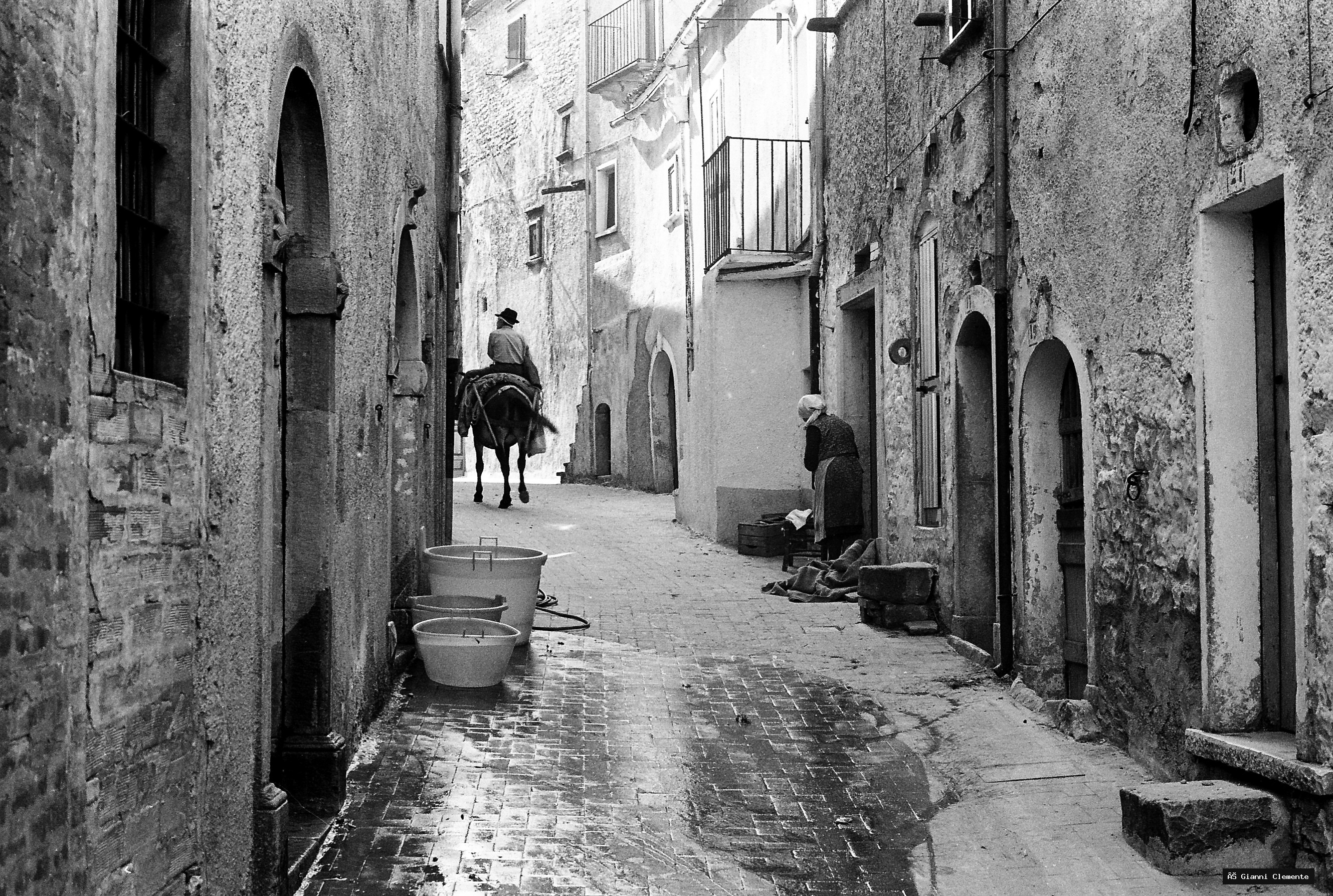 Foggia