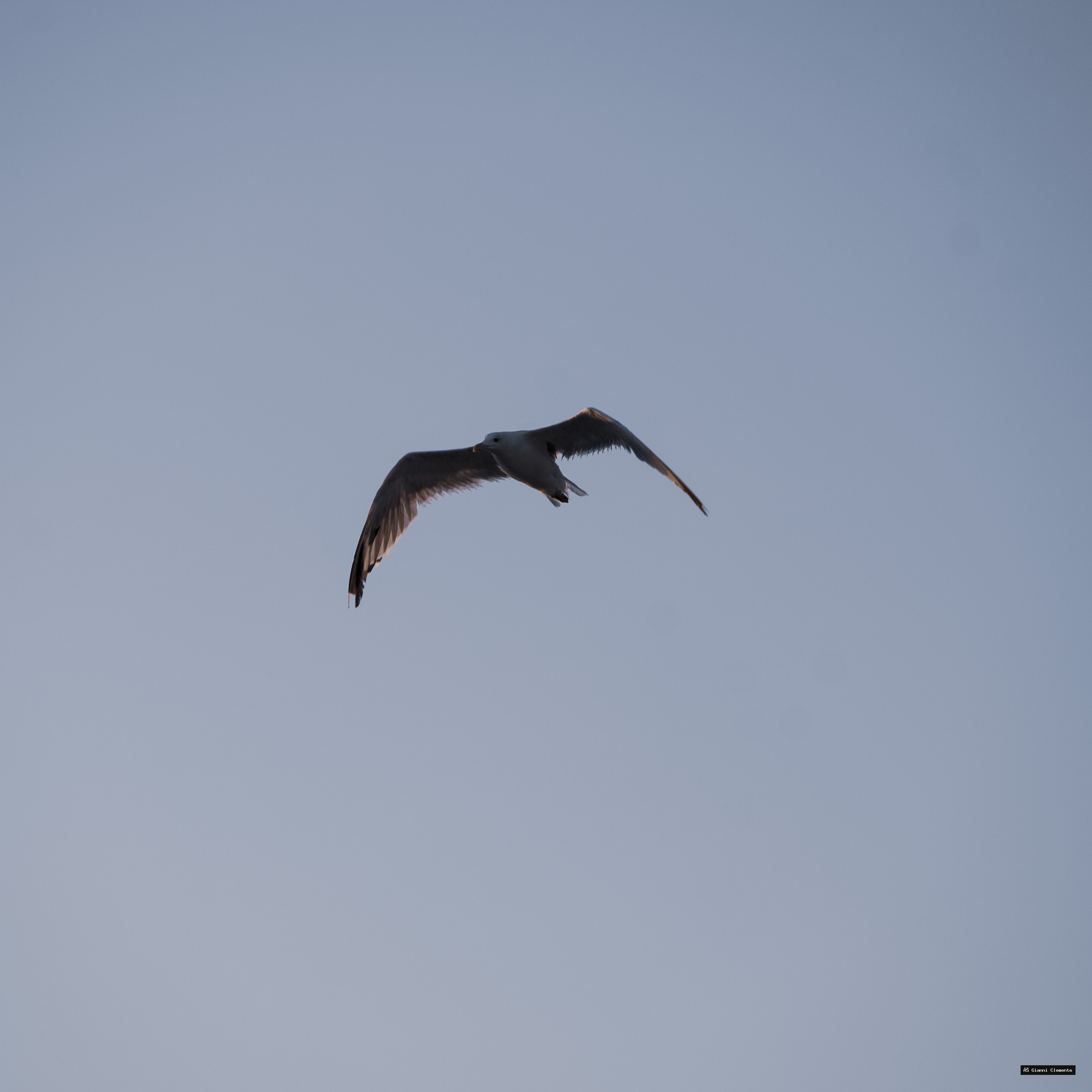 Ga 20260325 233325 0