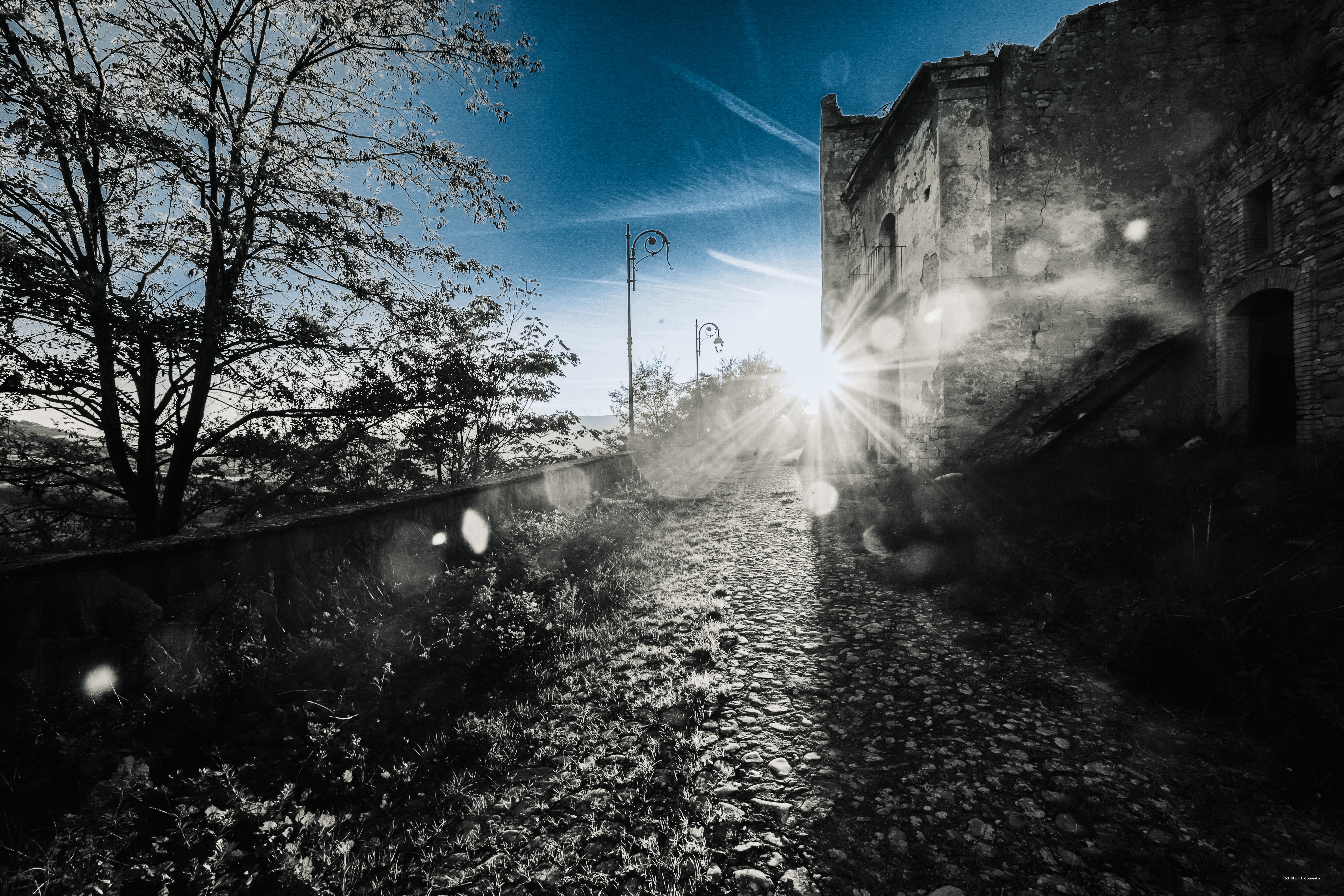 Luce1