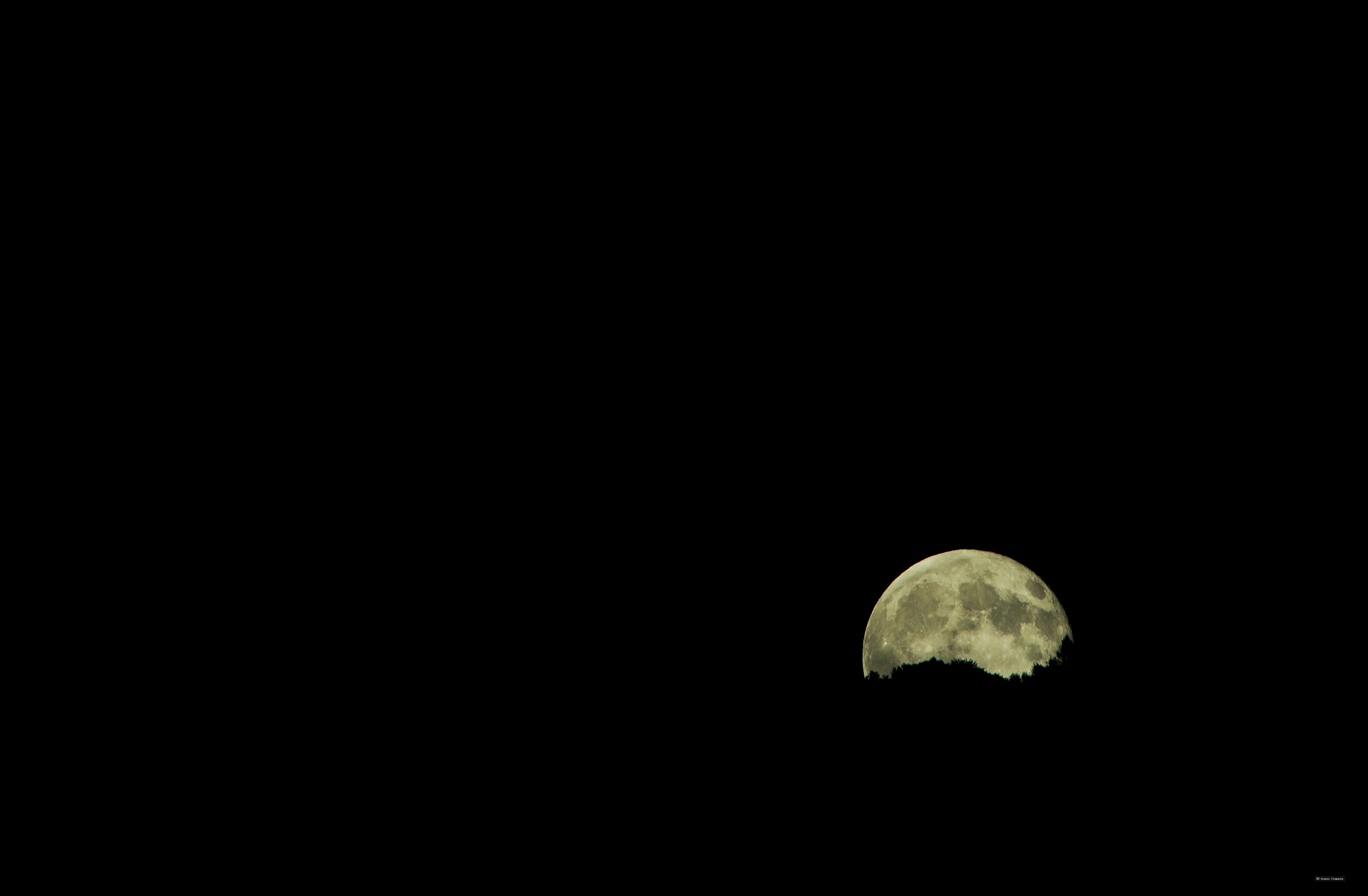 Luna7