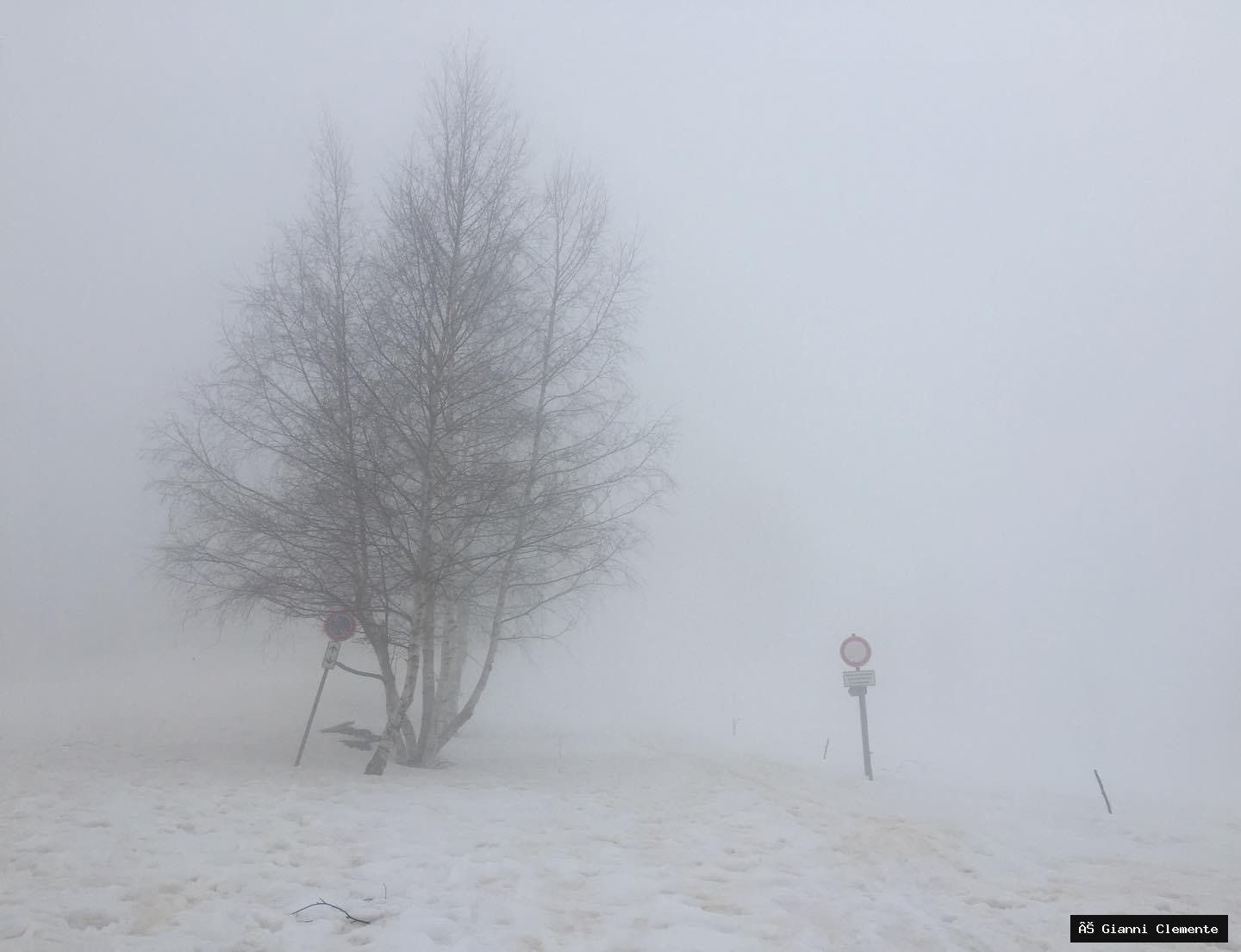 Nebbia
